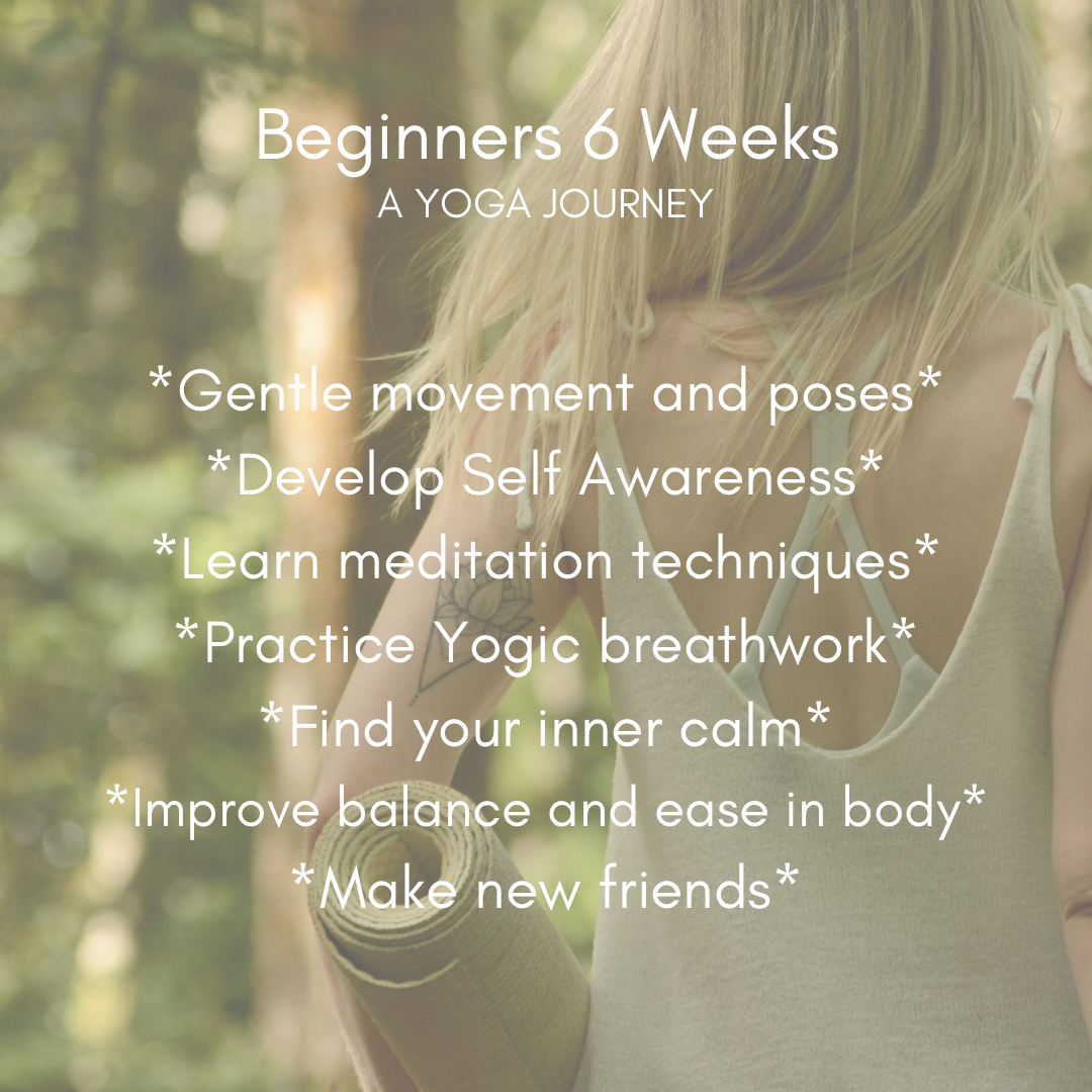 Blossom Wellbeing - Beginner Friendly Yoga